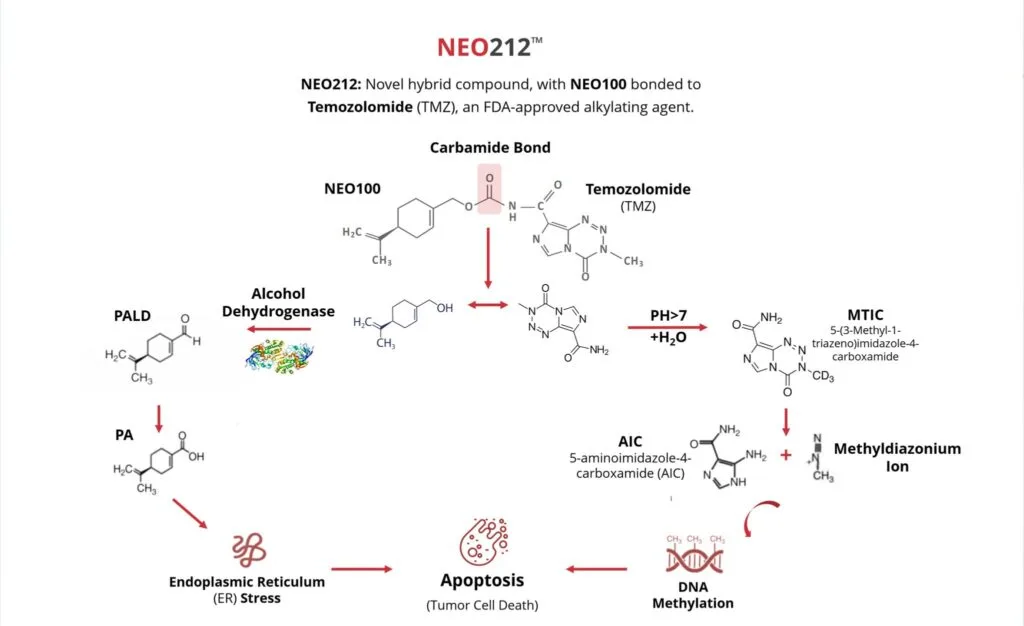NEO212 CNS uptake comparison versus temozolomide